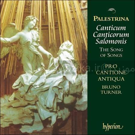 Palestrina - Canticum Canticorum (Hyperion)